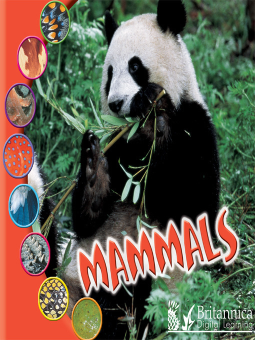 Title details for Mammals by Ted O'Hare - Wait list